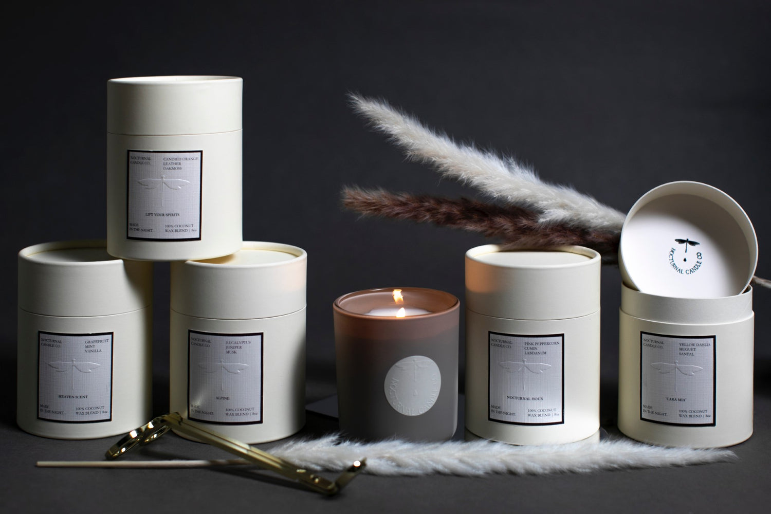 Beyond Routine: The Provocative Magic of Crafting Your Daily Rituals
