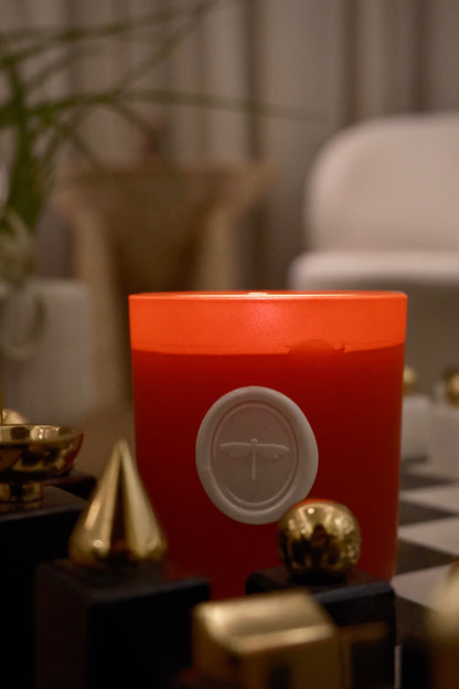 NUTCRACKER | BIÂN PRE-ORDER